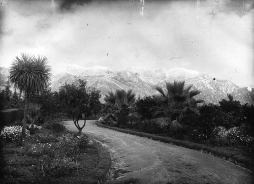 Altadena mountains' snow