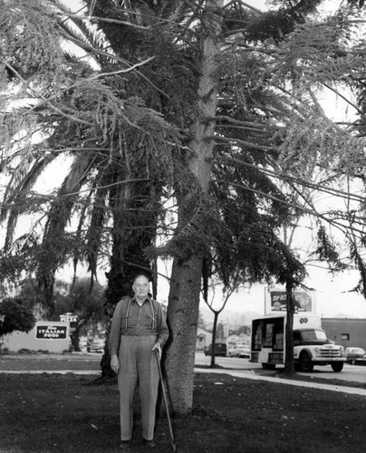 Offers trees to beautify S.F. parks