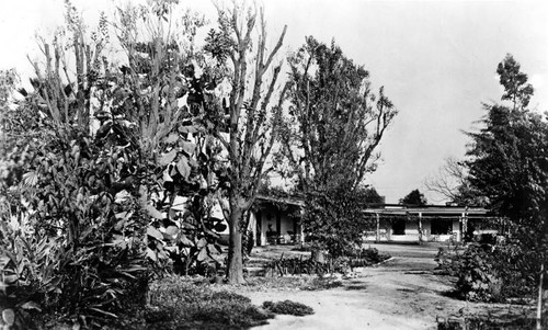 Wolfskill adobe near 3rd and Central Avenue