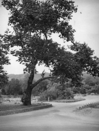 Irvine Regional Park