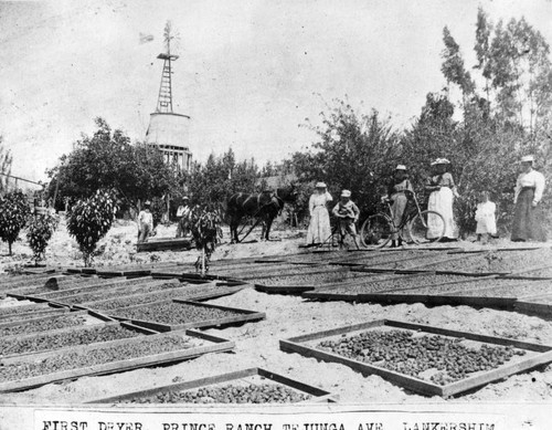 Early day pictures tell of Valley history as picnic nears