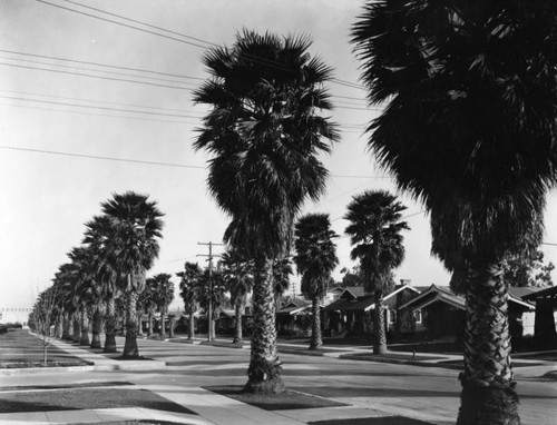 Gardena Avenue in Glendale