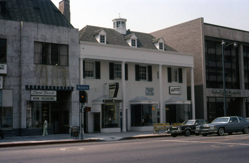 Businesses on Wilshire Boulevard