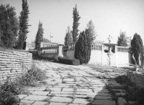 Overgrown driveway, Los Feliz estate