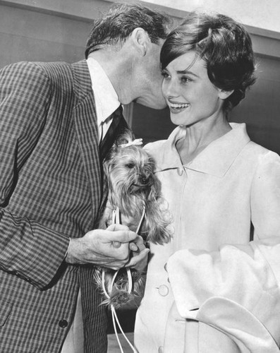 Audrey Hepburn, Mel Ferrer and pooch