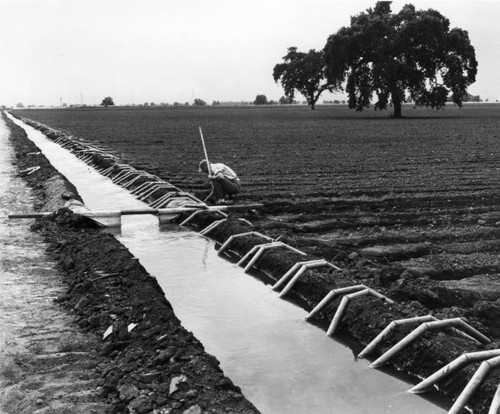 Irrigation water