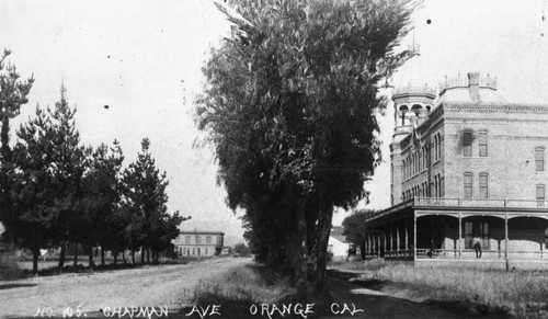 Palmyra Hotel, Orange