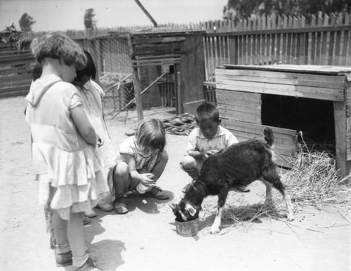 Children and goat
