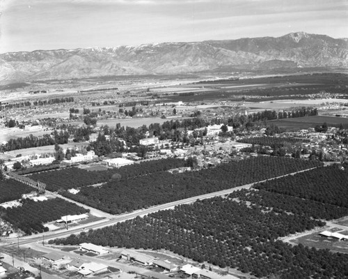 College of Medical Evangelists, Loma Linda, looking northeast