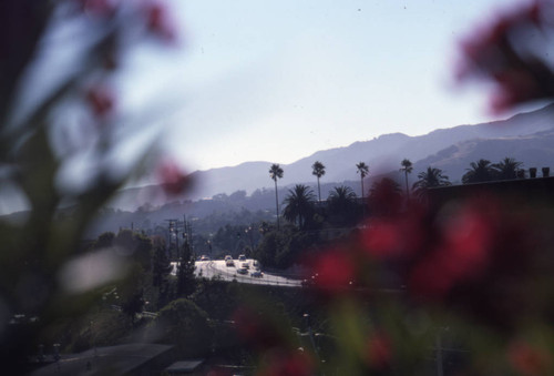 Sunset Boulevard, Pacific Palisades