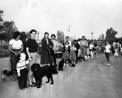 Line up for rabies shots