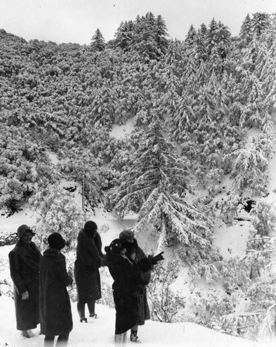 Snow scene, Mount Lowe