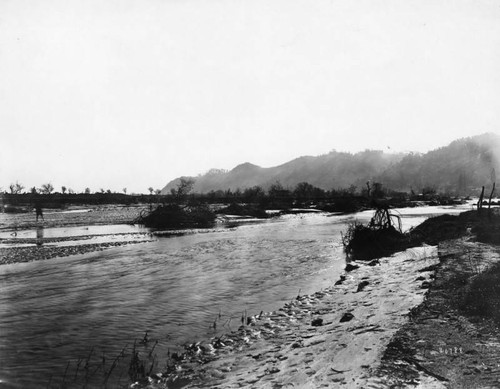 Muddy banks, L.A. River