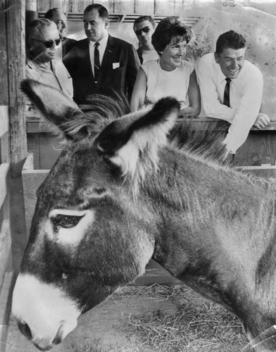 Ronald and Nancy with donkey