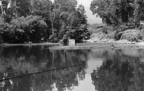 Rainbow Angling Club lake