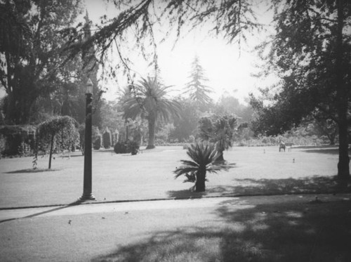 Path and lamppost in Singer Park