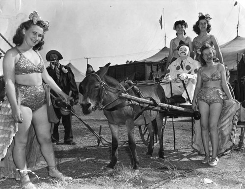 Circus girls in glittering costumes