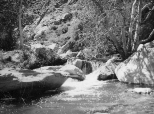 Tahquitz Canyon stream