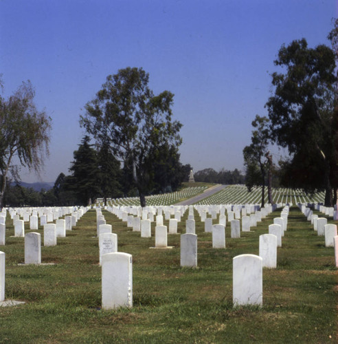 Veteran's Administration Cemetery