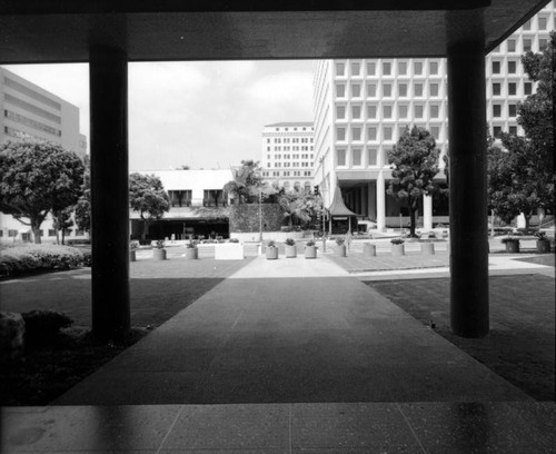 Parker Center Landscape