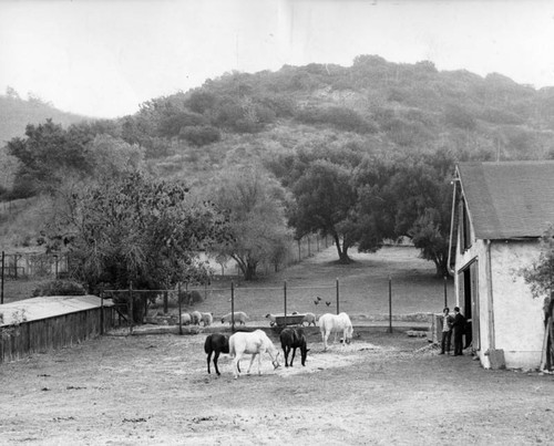 Old Tom Mix Ranch