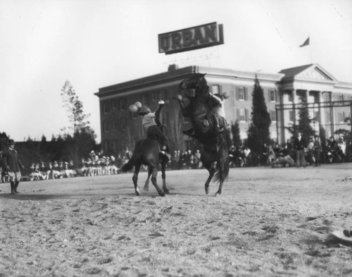 Horse play at Urban Military Academy