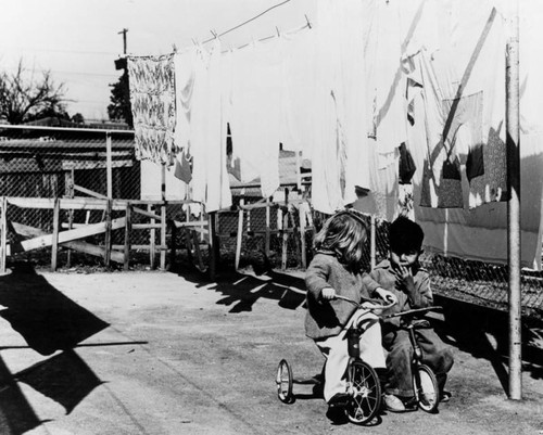 Children riding tricycles, Ramona Gardens