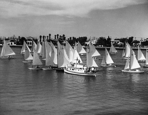 Yachting competition on Alamitos Bay