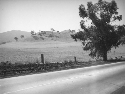 Rancho Las Virgenes vista