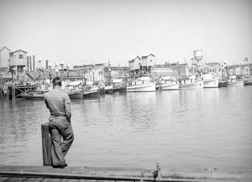 Van Camp Seafood Company and French Sardine Company on Terminal Island