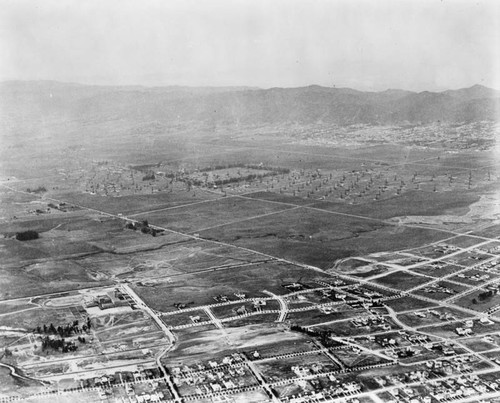 Hancock Park and Wilshire, aerial view