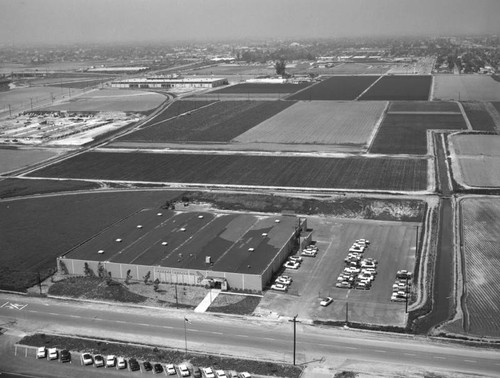 Banner Metals, Inc., Victoria Street, looking north