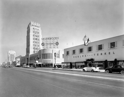 Stores on Wilshire Boulevard