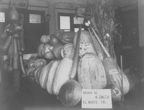 California vegetables exhibit