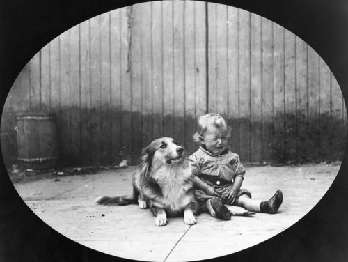 Child and dog