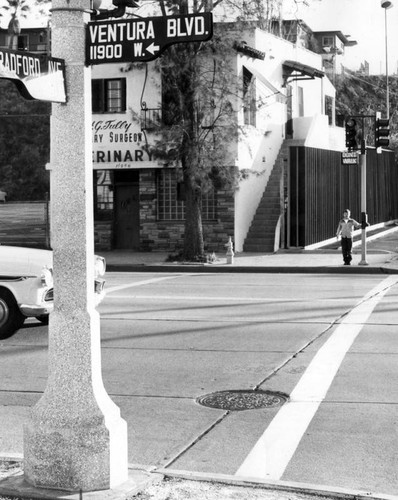 Ventura Boulevard crossing--for sprinters only?