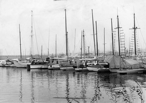 All size boats fill King Harbor slips