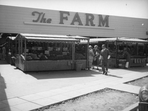 Shopping at The Farm market