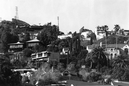 Residential homes in Hollywood