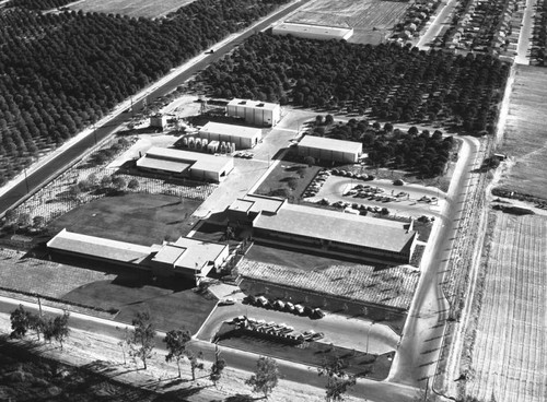 Crescent Way, Muller Street and Santa Ana Freeway, looking south