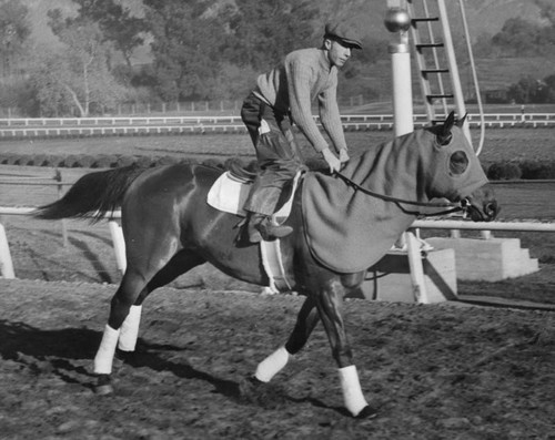 Seabiscuit and jockey Pollard