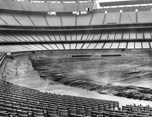 Field construction at Dodger Stadium