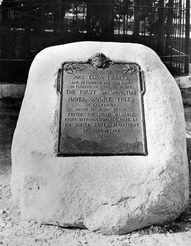 Historical marker commemorating citrus in Riverside