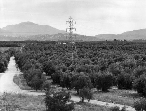 Hemet ranch