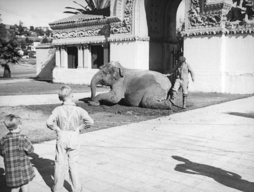 Children, an Elephant and the entrance to Zoopark