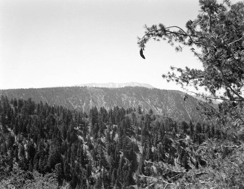 San Gorgonio in the distance