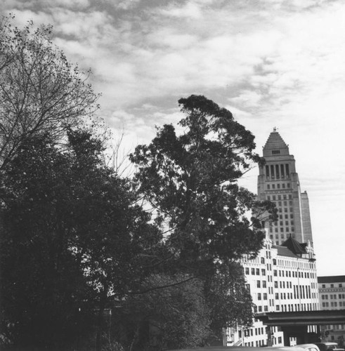 Looking at City Hall, view 5