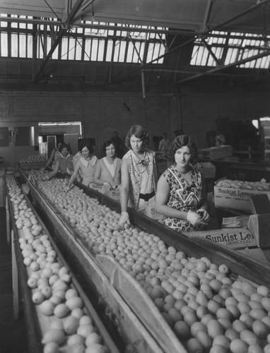 Lemon packing house