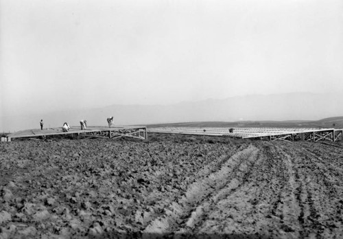 Olympic Village, Baldwin Hills