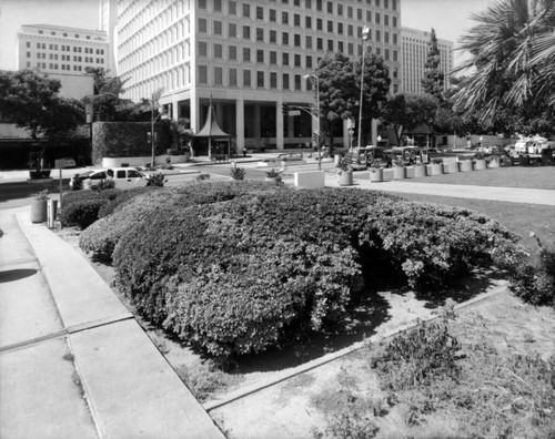 Parker Center Landscape